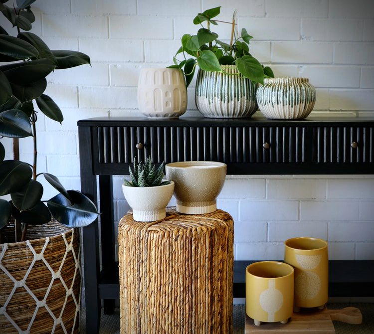 Discover Ochoco's limited ceramic pot range. With multiple textures, designs and colours to choose from.