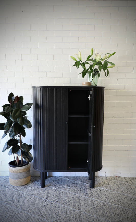 Leo Black 2 Door Cabinet. Clearance Sale 50% Off.