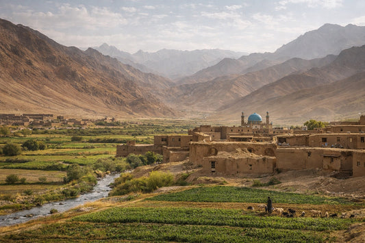 History,origins, and craftsmanship of Afghan Suzani Kilim Rugs. Ochoco Rugs Perth.