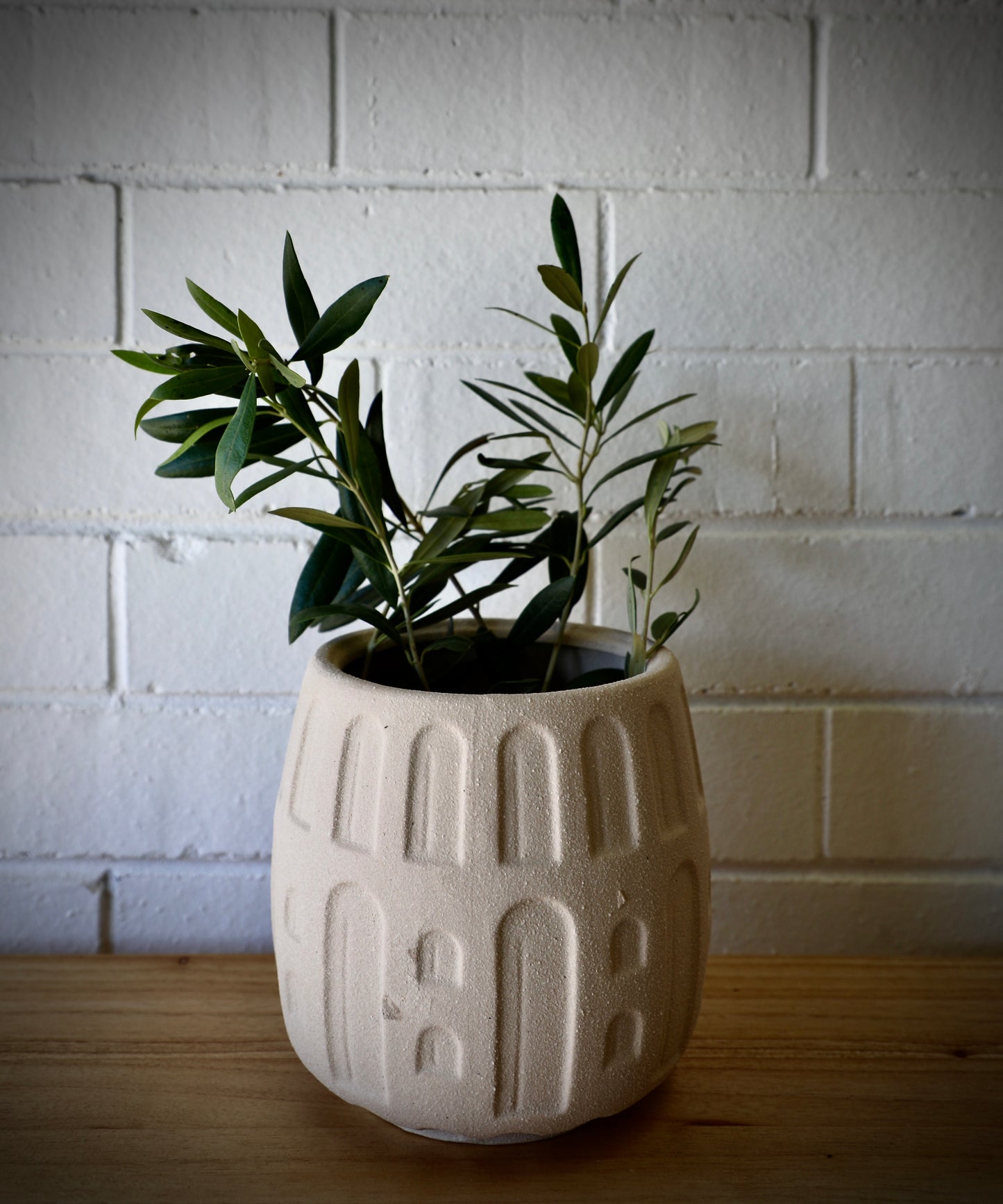The Archer Ceramic Pot, simplistic comtemporary style. With its slight textured sides and neutral tones it will be a good choice for any area. Colour White/Cream. Measures 16 Diameter X 16 Height. Styled.