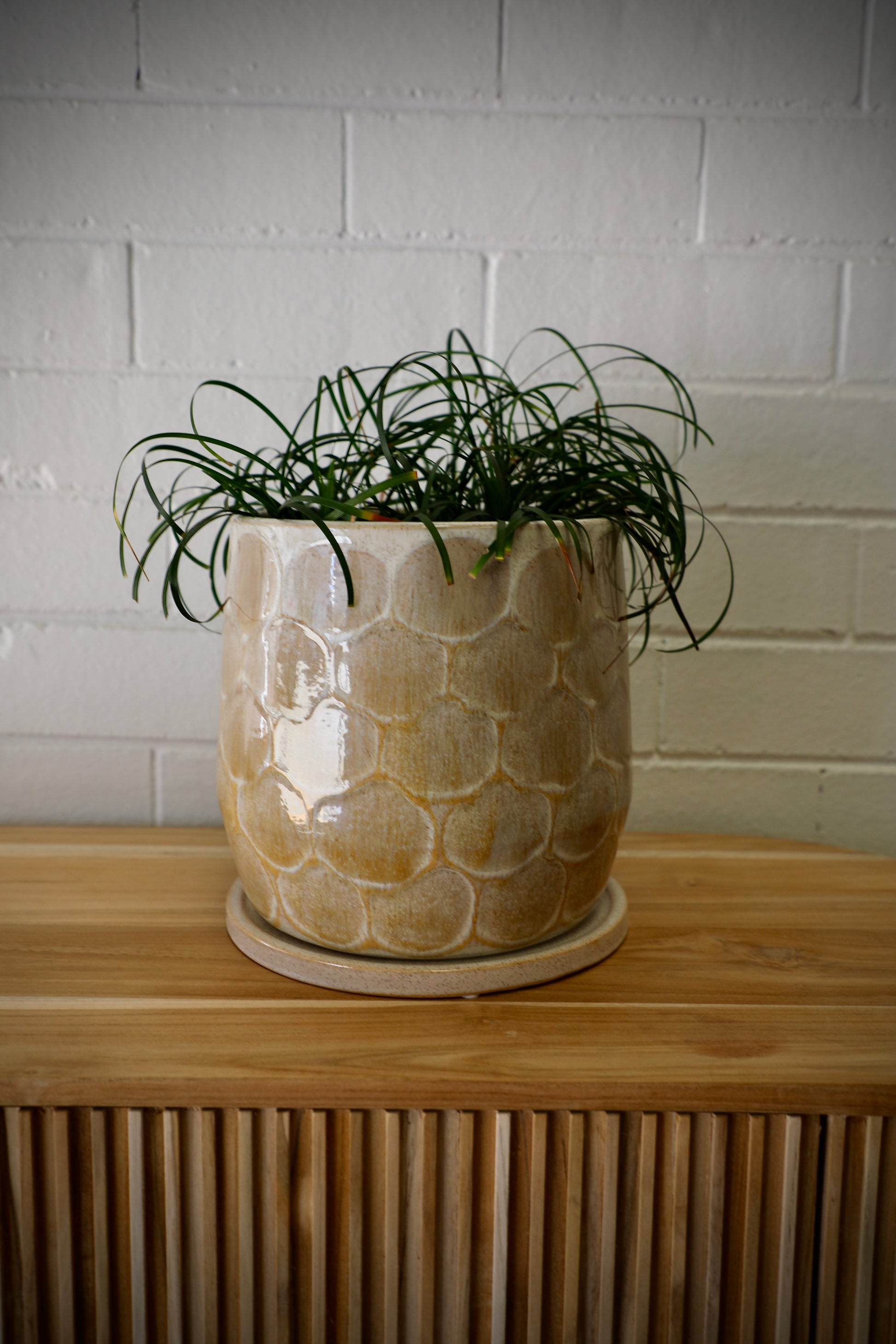 Eda Ceramic Pot - Medium with Saucer, features a textured scale design.  Includes a hole in the bottom and a saucer to collect any excess water. Colours, Natural and Beige. Size 22.5 height X 22 Diameter. Front Styled.