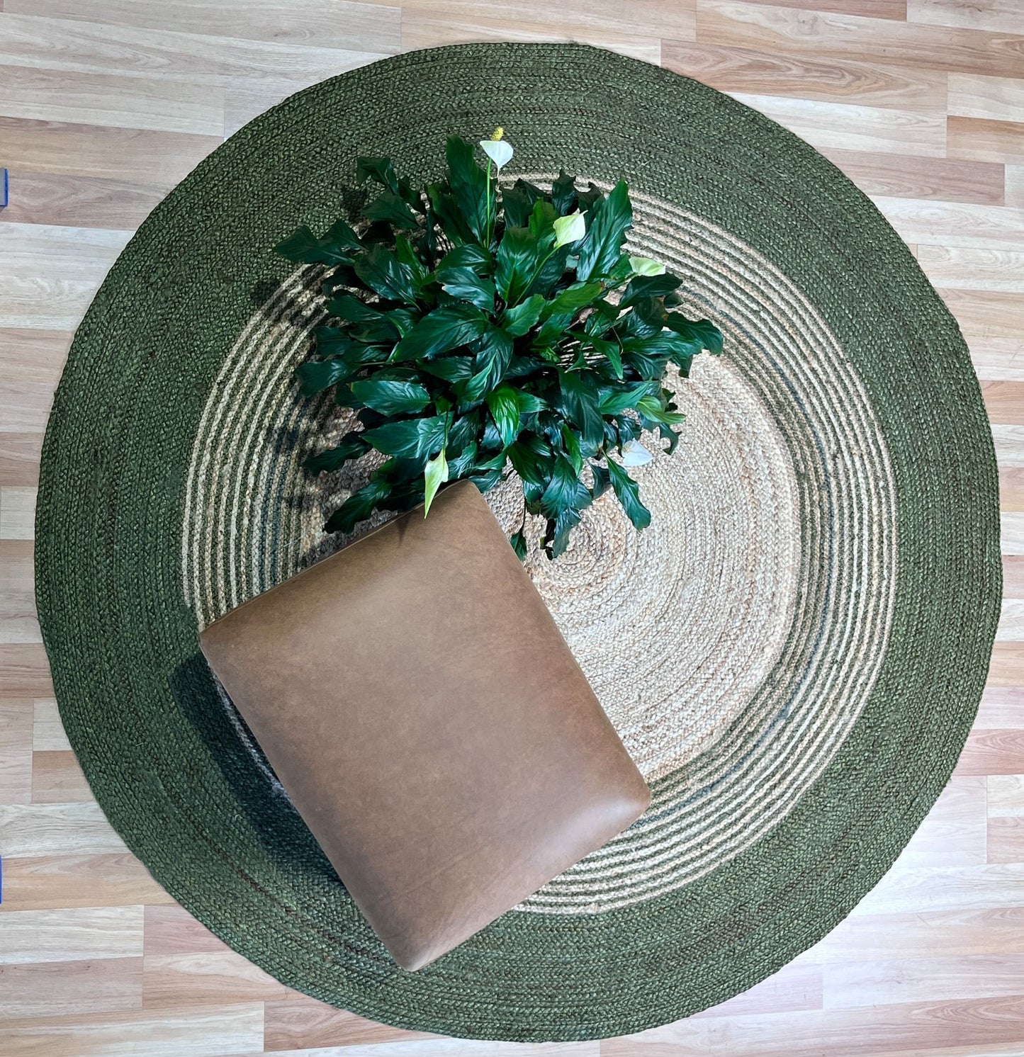 The Juno Echo Green Round Rug. Hand Woven Braided Jute Rug. Colours natural grey base with green. 2 sizes, 120 centimetres and 200 centimetres round. Styled.