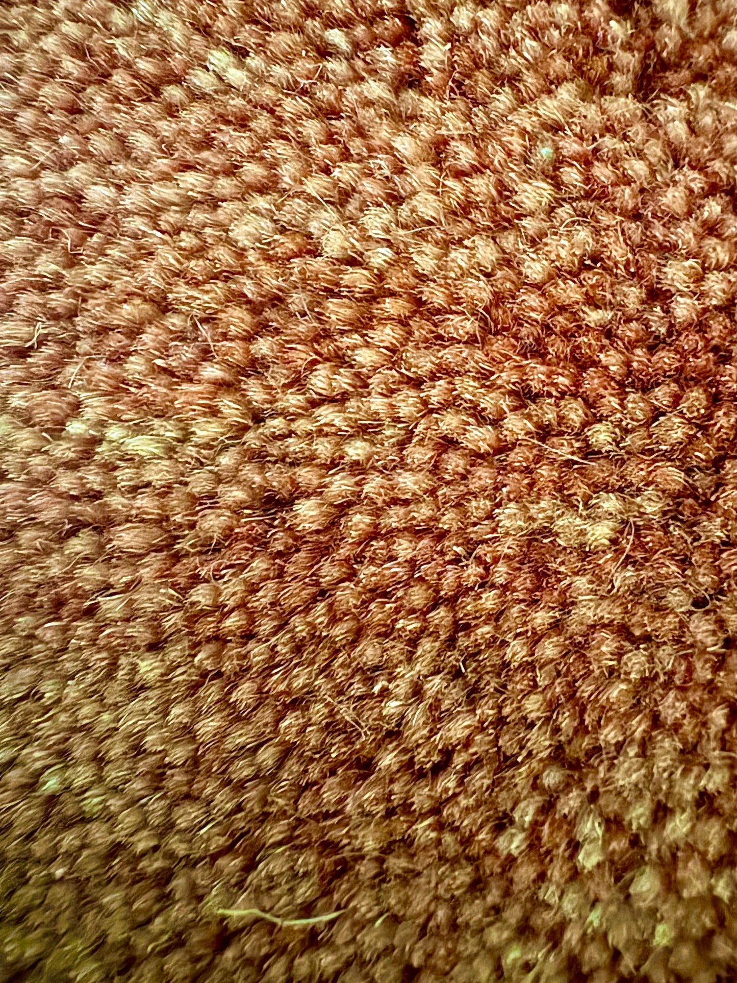 Lori Brick is a luxurious hand loomed floor rug made of 100% wool. The wool material creates a soft texture and a smooth pile height of 16-18mm. Colour orangish/redish terracotta with cream tassels. Sizes 160 X 230, 200 X 290, 240 X 340 and 300 X 400. Close.