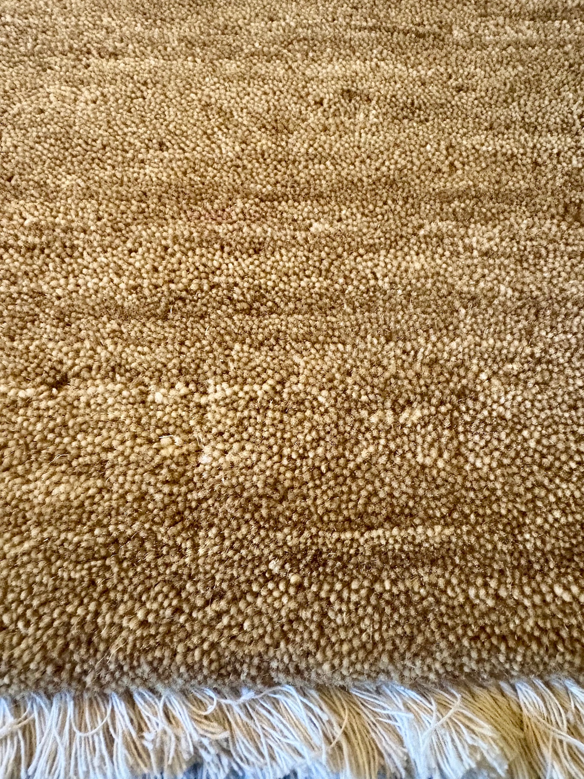 Lori Camel is a luxurious hand loomed floor rug made of 100% wool. The wool material creates a soft texture and a smooth pile height of 16-18mm. Colour beige, brown accents. Sizes 160 X 230, 200 X 290, 240 X 340 and 300 X 400. Close Edge.