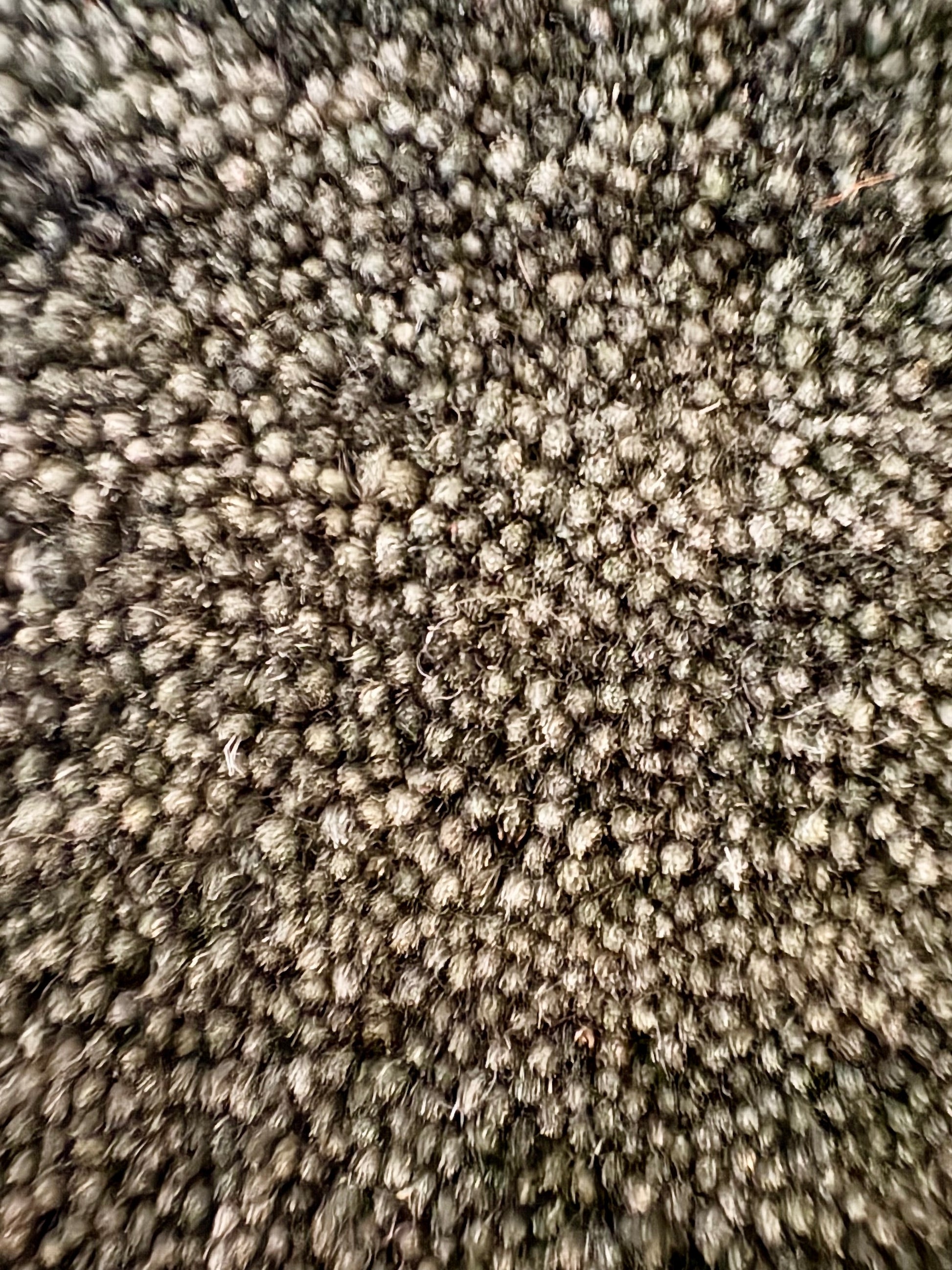 Lori Green is a luxurious hand loomed floor rug made of 100% wool. The wool material creates a soft texture and a smooth pile height of 16-18mm. Colour forrest green with cream tassels. Sizes 160 X 230, 200 X 290, 240 X 340 and 300 X 400. Close.