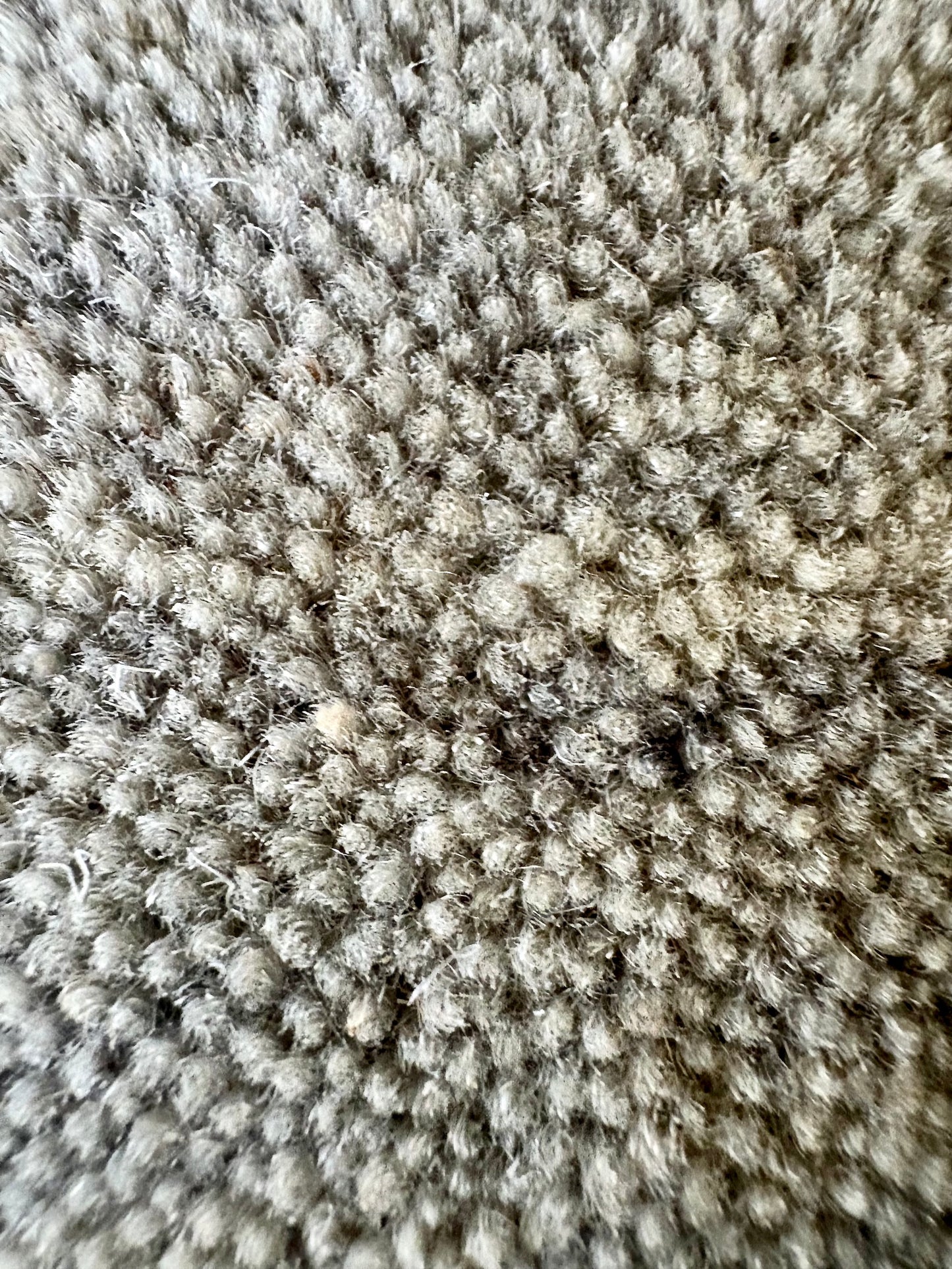 Lori Light Grey is a luxurious hand loomed floor rug made of 100% wool. The wool material creates a soft texture and a smooth pile height of 16-18mm. Colour Light Grey with cream tassels. Sizes 160 X 230, 200 X 290, 240 X 340 and 300 X 400. Close.