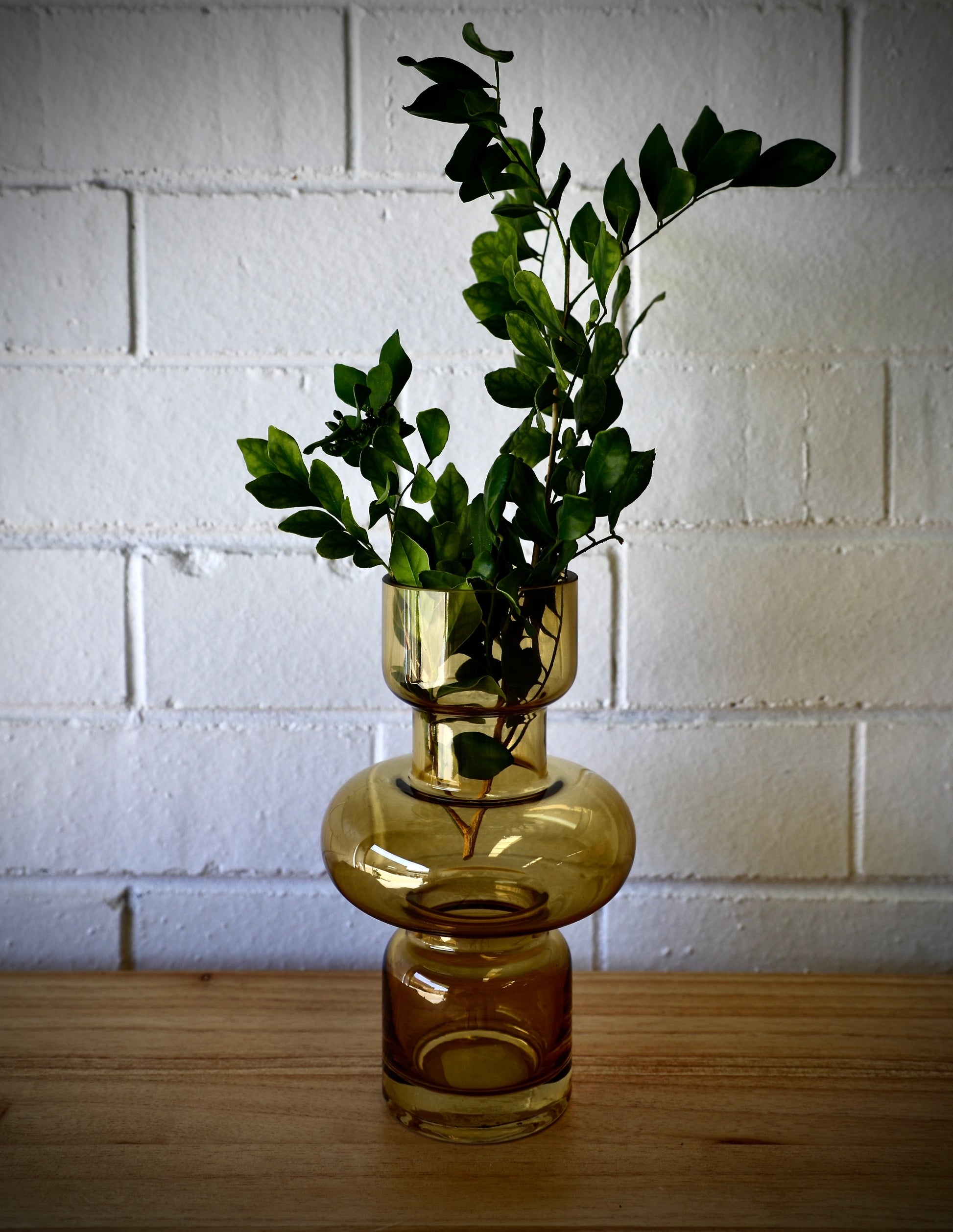 The Marte Glass Vase is a modern/contemporary piece. Featuring a cylindrical Bottom and top with a bulbed middle. Colour Amber. Measures 13 Diameter X 20 Height. Styled.
