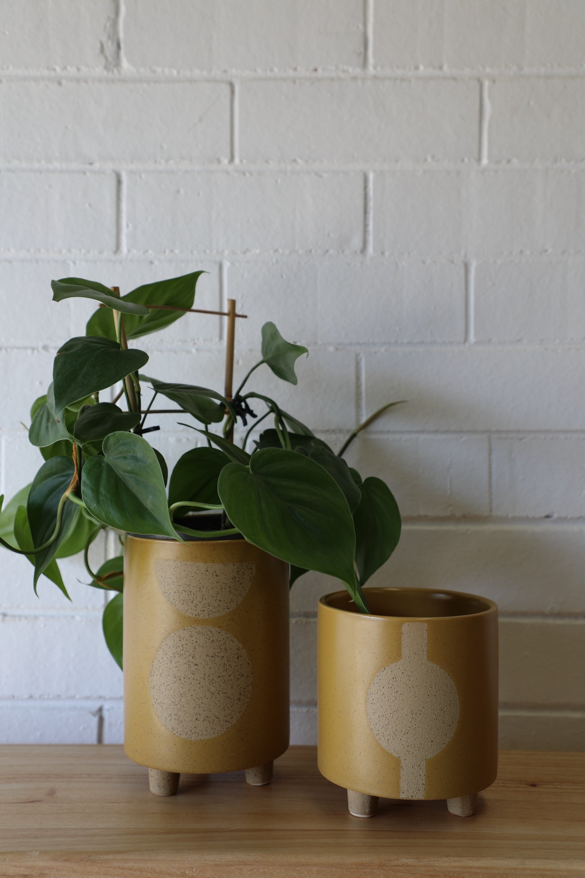 Ochoco Zod Ceramic pots in 2 sizes.