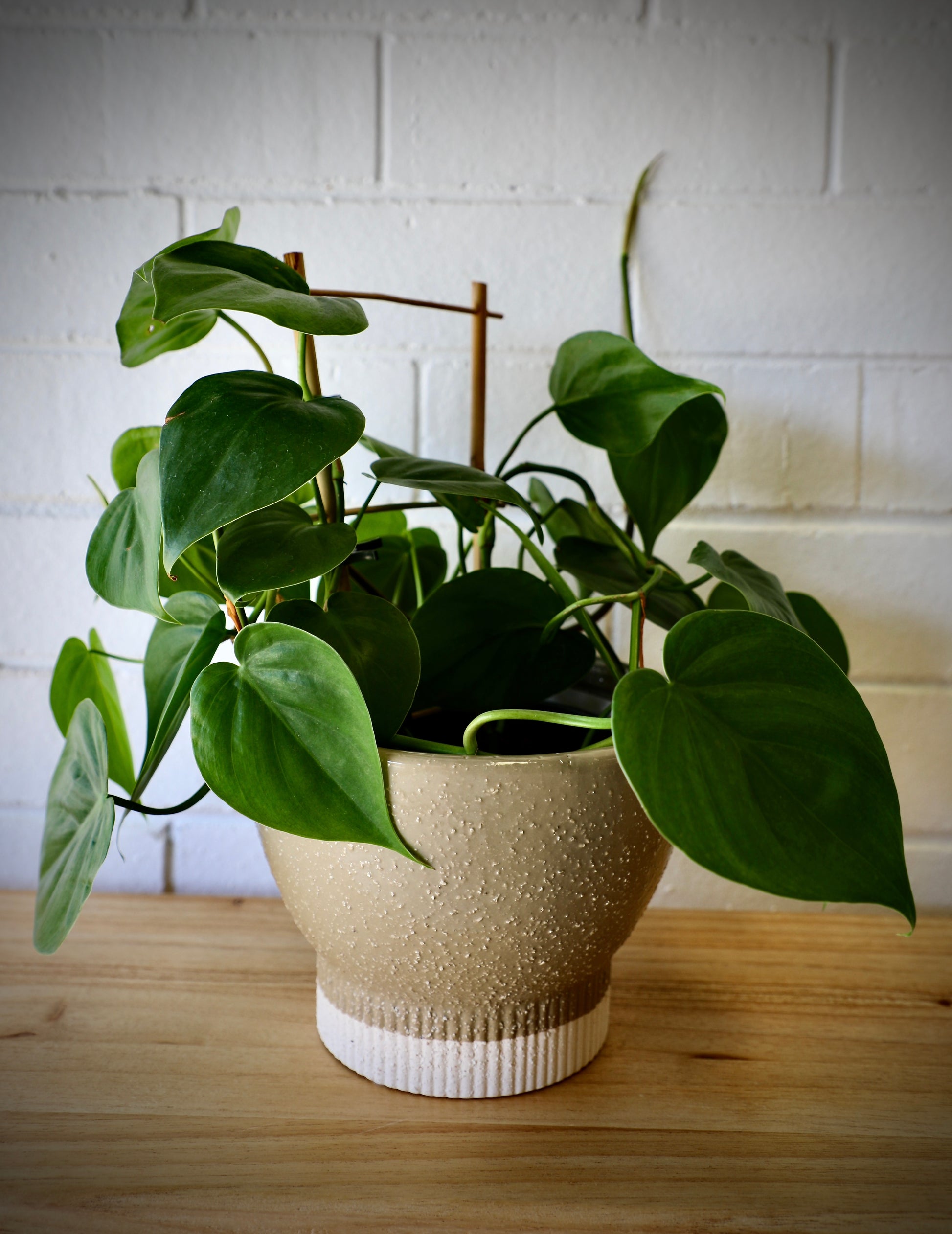 The Romulus Ceramic Pot - Large, 18 X 14, features a cylindrical bottom that tapers out in a bowl shape.  Colours, Olive and cream. Measures 18 Diameter X 14 Height. Styled.