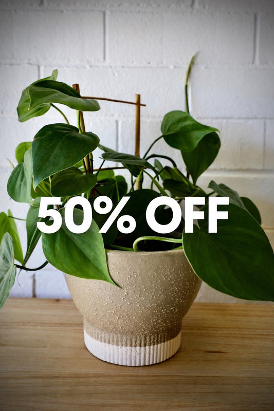 The Romulus Ceramic Pot - Large, 18 X 14, features a cylindrical bottom that tapers out in a bowl shape.  Colours, Olive and cream. Measures 18 Diameter X 14 Height. Sale.