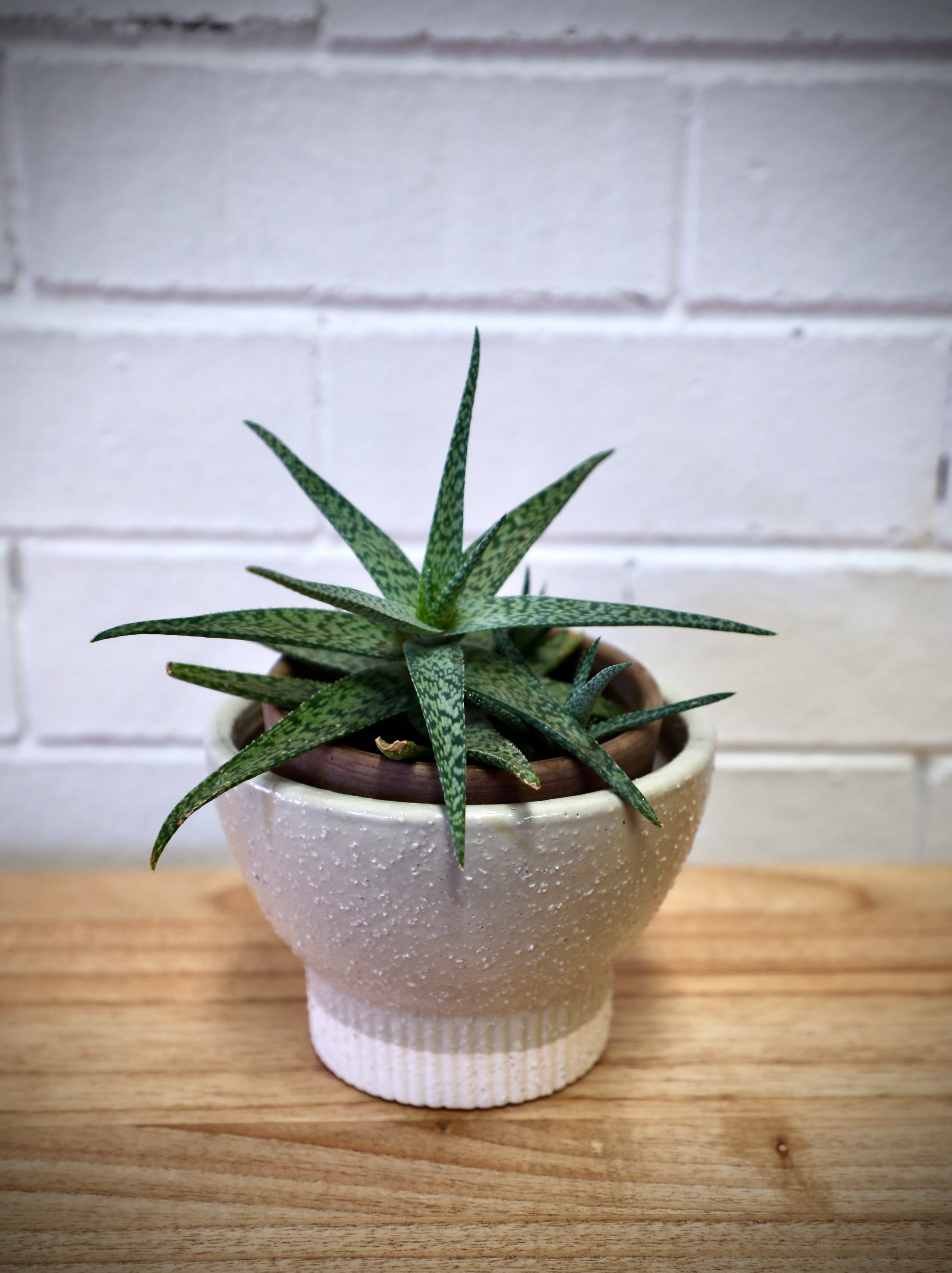 The Romulus Ceramic Pot - Small, 14 X 10, features a cylindrical bottom that tapers out in a bowl shape.  Colours, cream and beige. Measures 14 Diameter X 10 Height. Styled.