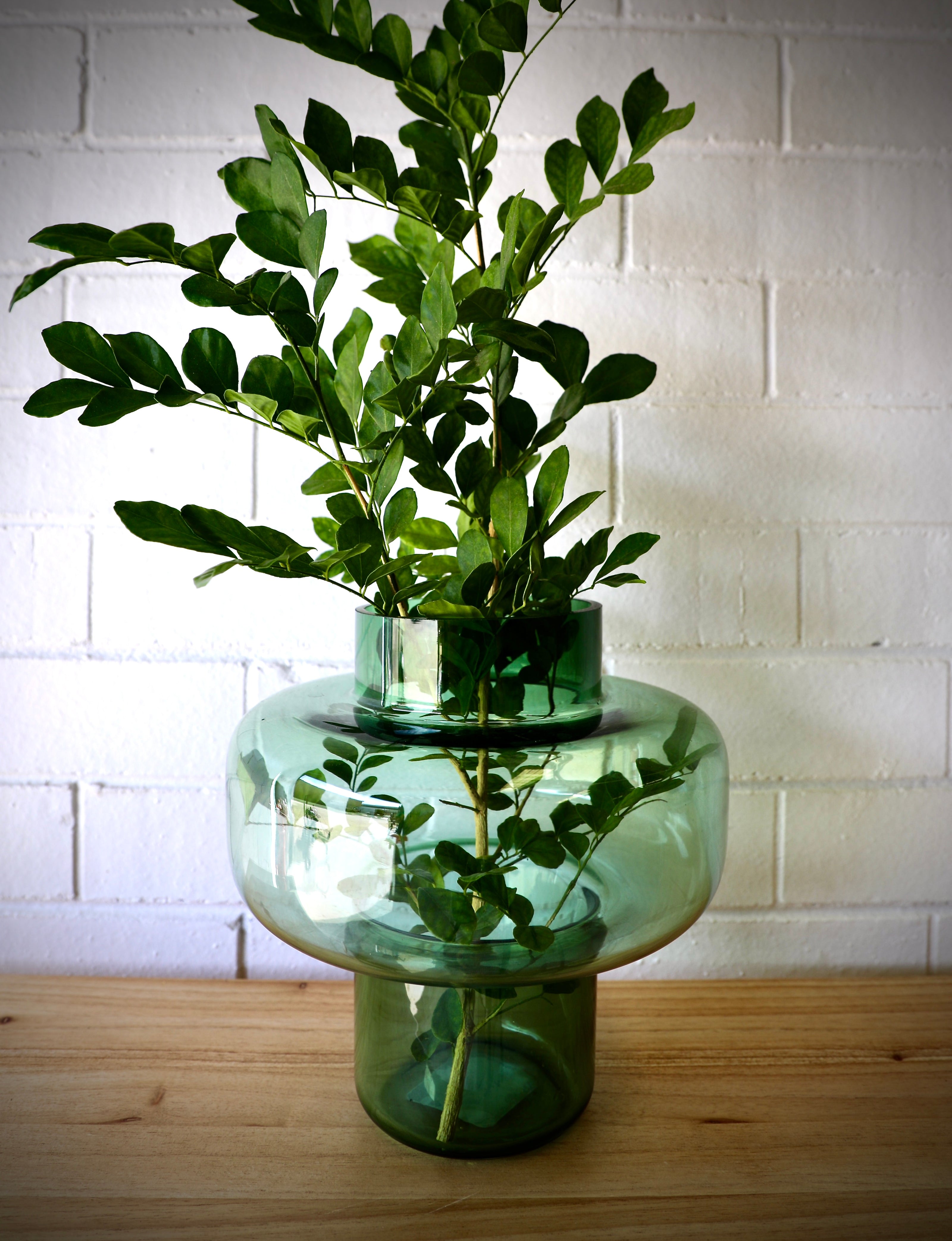 Ochoco Contemporary Glass Vases Collection. Homewares Perth.