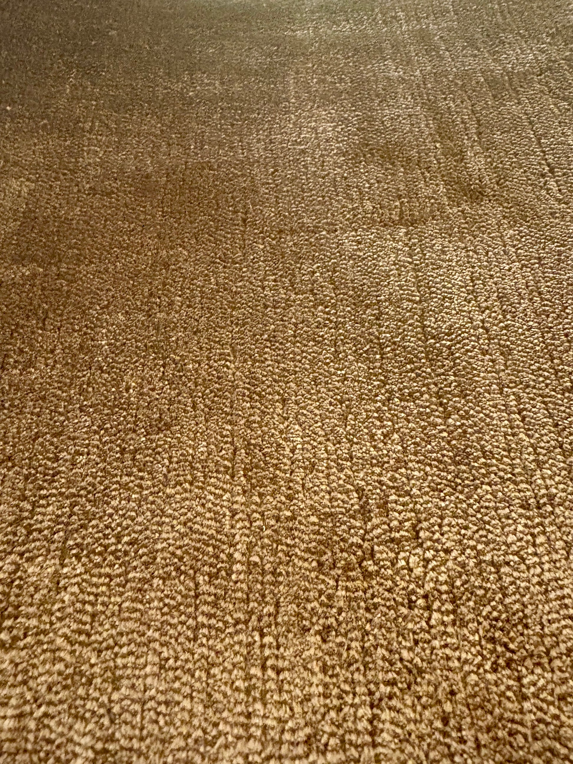 Tempo Tobacco is a hand-loomed low-cut piled rug. Crafted with bamboo silk, it offers medium texture and has a pile height of 10-12mm. Colour golden red. Sizes 160 X 230, 200 X 290 and 240 X 340.  Non-Sheen Side.