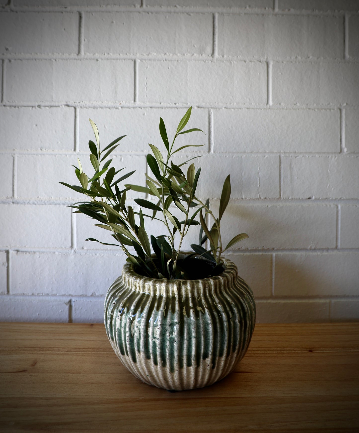 The Varuna Ceramic Pot - Small, features a textured ribbed outer shell.  Great for small plants. Colour, Olive and Teal. Size 20 Diameter X 14 Height. Styled.