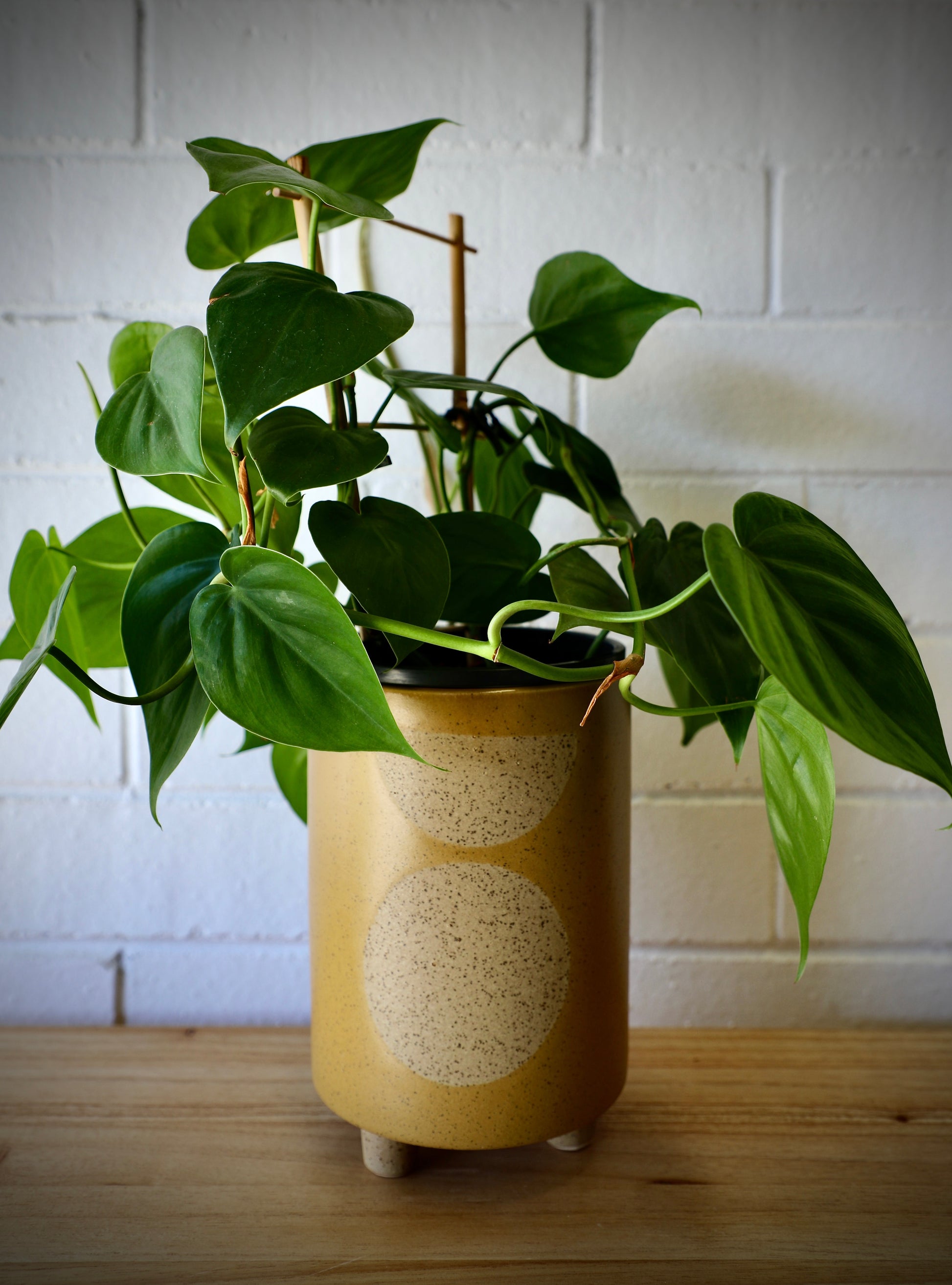 The Zod Ceramic Pot - Large, is a modern simplistic designed planter pot.  Its smooth texture and round feet add a modern feel. Colour Orange. Size 14 diameter x 20.5 height. Styled.