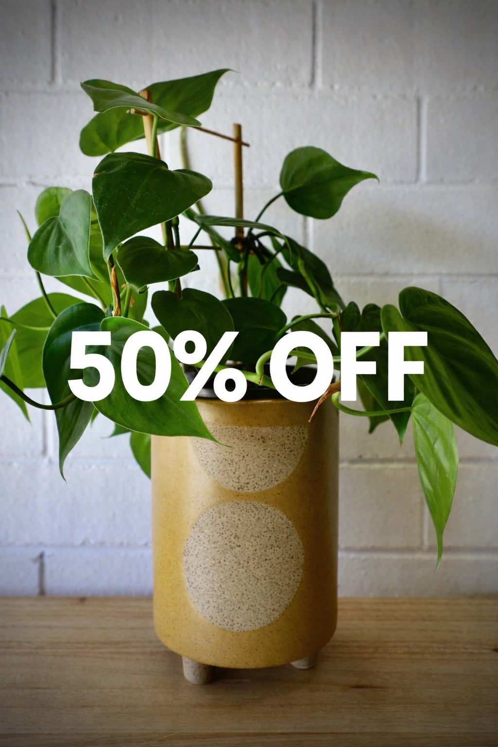 The Zod Ceramic Pot - Large, is a modern simplistic designed planter pot.  Its smooth texture and round feet add a modern feel. Colour Orange. Size 14 diameter x 20.5 height. Sale.