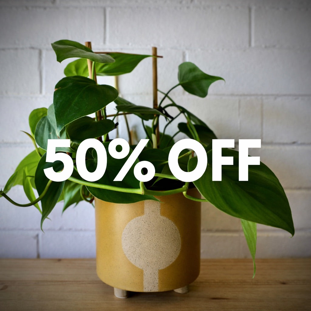 ZOD | CERAMIC POT | SMALL